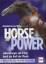 Witter, Rebekah Ferran: Horse Power. Leb