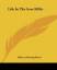 gebrauchtes Buch – Harding Davis – Life in the Iron Mills – Bild 1