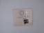 Lynyrd Skynyrd: Authorized Bootleg-Live 