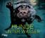 Seth Casteel: Hunde unter Wasser Seth Ca