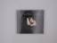 Sarah Mclachlan: Surfacing