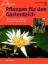 Axel Gutjahr: Pflanzen für den Gartentei