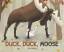 Joy Heyer: Duck, Duck, Moose