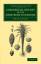 John R. Jackson: Commercial Botany of th