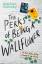 Stephen Chbosky: The Perks of Being a Wa