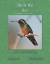 C. E. Llewellyn: Birds We See