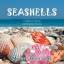 Mitzie Williams: SEASHELLS