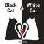 Claire Garralon: Black Cat & White Cat