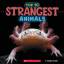 Brenna Maloney: Strangest Animals (Wild 