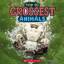 Brenna Maloney: Grossest Animals (Wild W