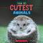 Brenna Maloney: Cutest Animals (Wild Wor