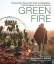 Francis Mallmann: Green Fire