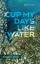 Abigail Carroll: Cup My Days Like Water