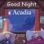 Adam Gamble: Good Night Acadia