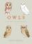 Matt Sewell: Owls