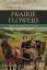 Joann Klusmeyer: Prairie Flowers