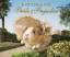Jane Austen: A Guinea Pig Pride & Prejud
