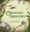 Gina E Gallois: Opossum Opposites