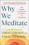 Daniel Goleman: Why We Meditate