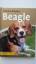 Tiere, Zoologie, Hunde, Beagle, Erziehun