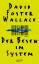 Foster Wallace, David: Der Besen im Syst