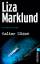 Liza Marklund: Kalter Süden (Ein Annika-