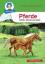gebrauchtes Buch – Benny Blu Pferde - Schön, schnell und stark. Band 115 – Bild 1