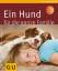 Katharina Schlegl-Kofler: Ein Hund für d