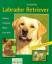 Uschi Birr: Labrador Retriever