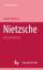 Gianni Vattimo: Nietzsche: Eine Einführu