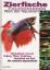 gebrauchtes Buch – unbekannt – Zierfische - Faszinierende Welt der Aquarien : Informationen rund um Haltung, Pflege, Ernährung, Gesundheit und Kauf - Die schönsten Aquarienfische – Bild 1