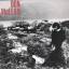 don McLean: don McLean