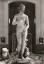 1050404 Firenze - Florenz Die Venus der 