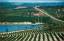 Citrus Groves and lakes, Citrus Tower, F