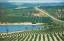 Citrus Groves and lakes, Citrus Tower, F