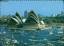 1102310 Sydney – Opera House