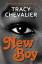 Tracy Chevalier: New Boy | Tracy Chevali