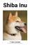 Fynn Hansen: Shiba Inu | Fynn Hansen | T