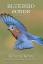 Edward Kenny: Bluebird Songs (Volume III