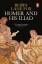 Lane Fox, Robin: Homer and His Iliad | R