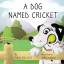 Carly Galluzzo: A Dog Named Cricket | Ca