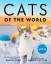 Hannah Shaw: Cats of the World | Hannah 