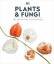 Plants and Fungi | The Definitive Visual