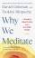 Daniel Goleman: Why We Meditate | 7 Simp