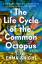 Emma Knight: The Life Cycle of the Commo