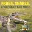 Baby: Frogs, Snakes, Crocodiles and More