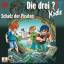 Die drei ??? Kids - Schatz der Piraten, 