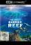 Greg Grainger: The Great Barrier Reef (U