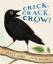 Janet Lord: Crick, Crack, Crow!