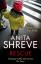 Anita Shreve: Rescue